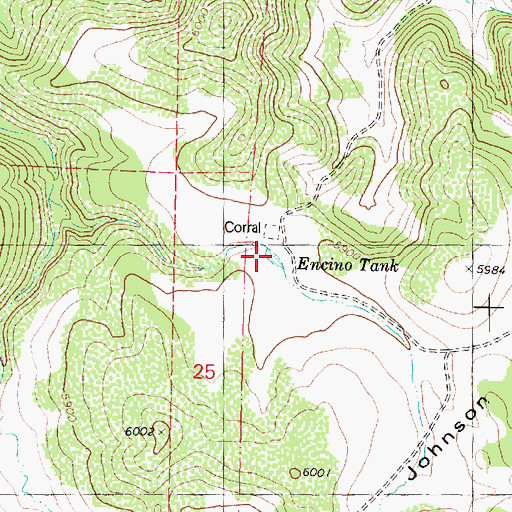 Topographic Map of Encino Tank, AZ