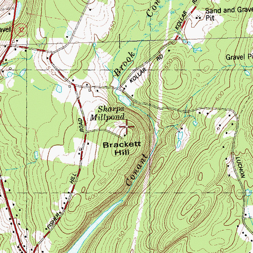 Topographic Map of Brackett Hill, CT