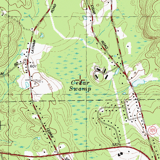 Topographic Map of Cedar Swamp, CT