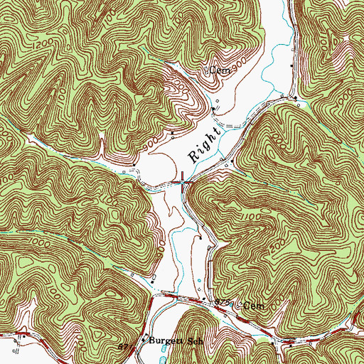 Topographic Map of Les Higgins Branch, KY