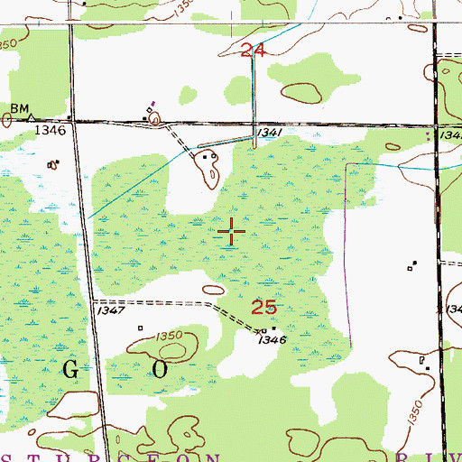 Topographic Map of Wolfridge Golf Course, MN