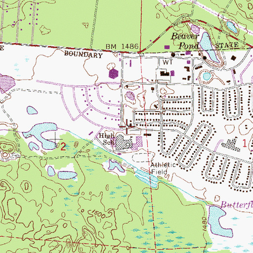 Topographic Map of Saint Pius Catholic Church, MN