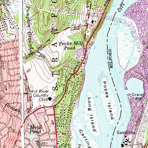 Topographic Map of Pecks Mill, CT