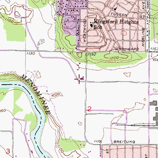 Topographic Map of Freemans Convalescent Home, MI