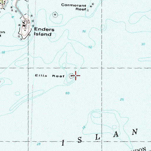 Topographic Map of Ellis Reef, CT