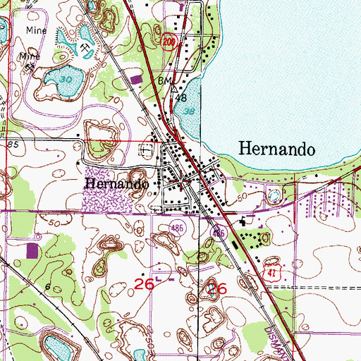 Topographic Map of Hernando Park, FL