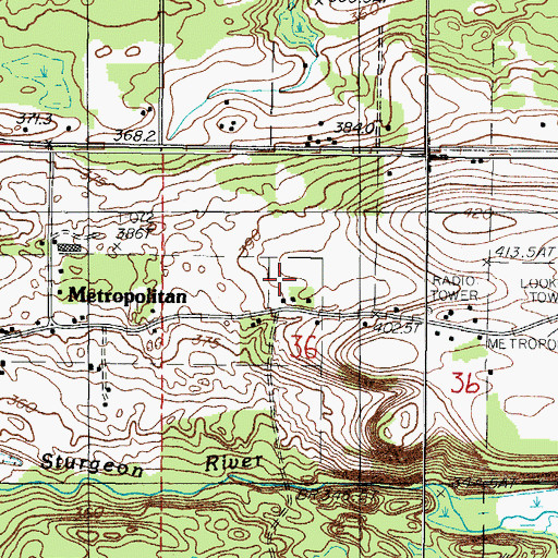 Topographic Map of Metropolitan Station (historical), MI