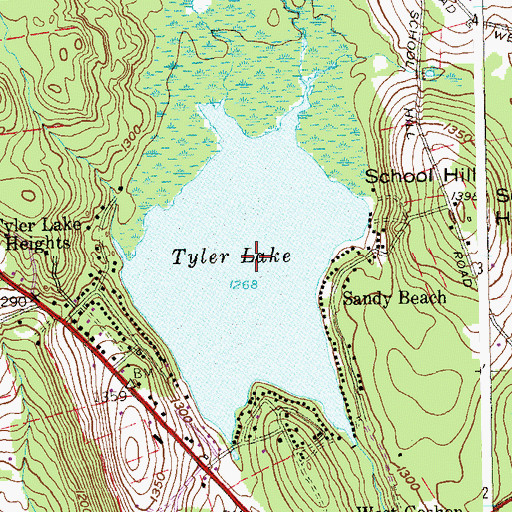 Topographic Map of Tyler Lake, CT
