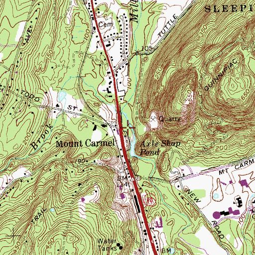 Topographic Map of Mount Carmel, CT