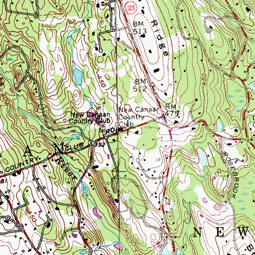 Topographic Map of New Canaan Country Club, CT