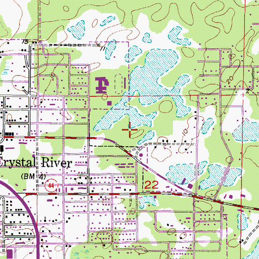 Topographic Map of Citrus County LIbrary - Coastal Region, FL