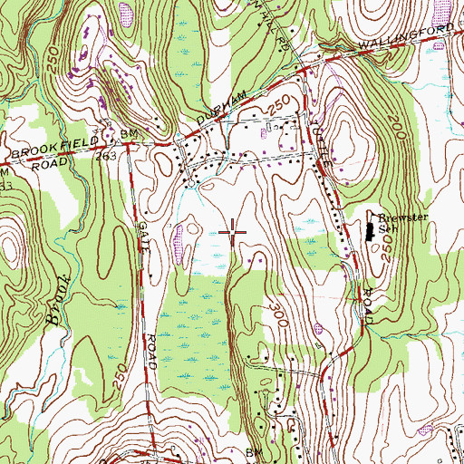 Topographic Map of Maplewood Farm Airport, CT