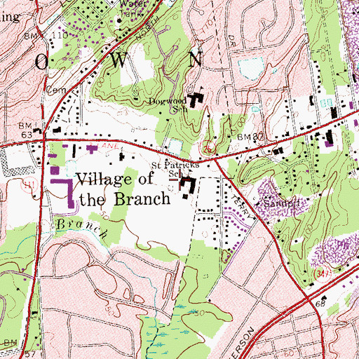 Topographic Map of Saint Patrick's Roman Catholic Church, NY