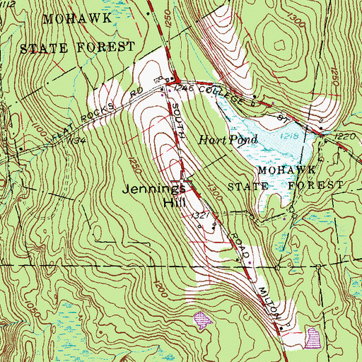 Topographic Map of Ripley Field Airport, CT