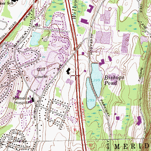 Topographic Map of C N Flagg Heliport, CT