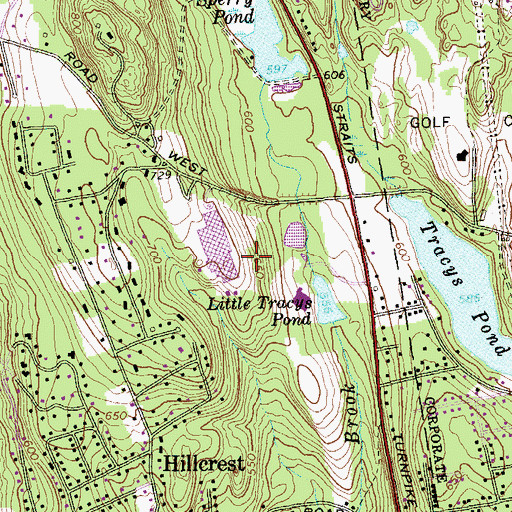 Topographic Map of Timex Heliport, CT