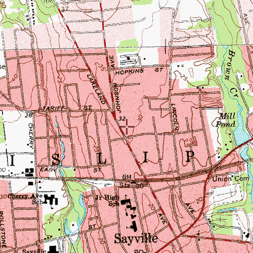 Topographic Map of Sons And Daughters Of Liberty Home For The Aged, NY