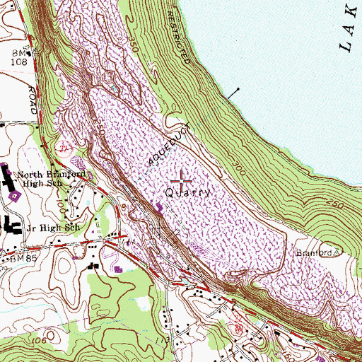 Topographic Map of North Branford Heliport, CT