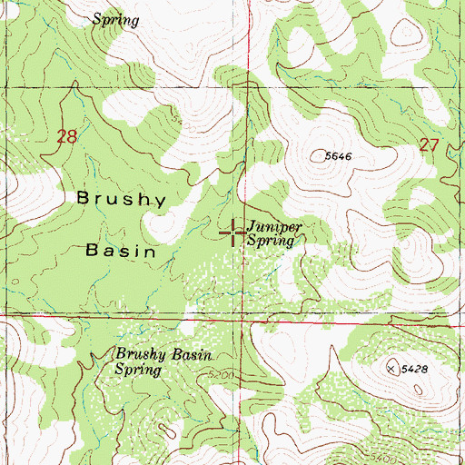 Topographic Map of Juniper Spring, AZ