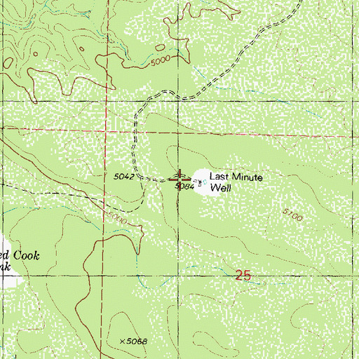 Topographic Map of Last Minute Well, AZ
