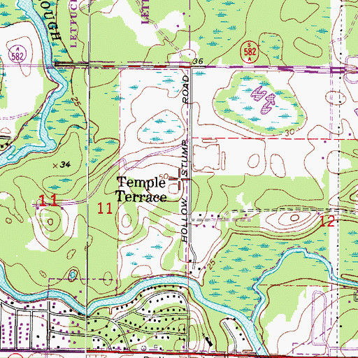Topographic Map of Temple Terrace Fire Department Station 2, FL