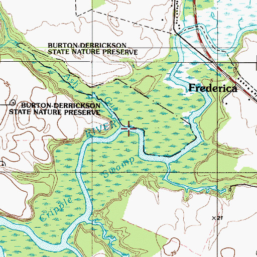 Topographic Map of Ash Gut, DE