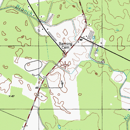 Topographic Map of Banning Cemetery, DE