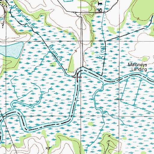 Topographic Map of Beaverdam Branch, DE