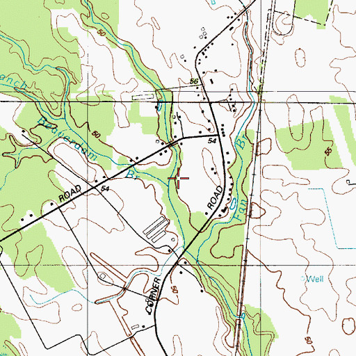 Topographic Map of Beaverdam Branch, DE