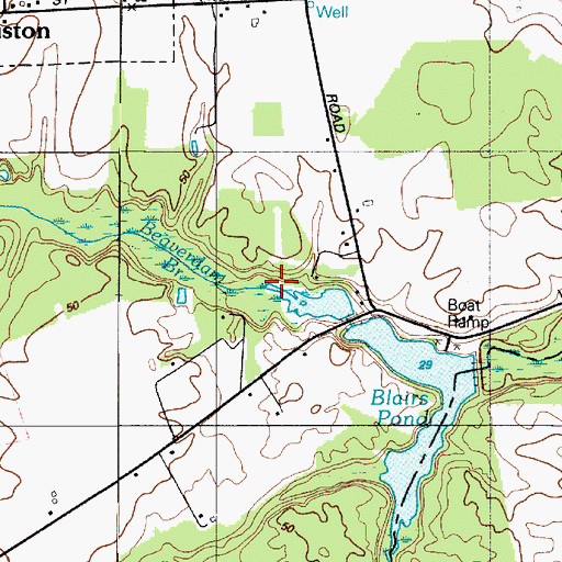 Topographic Map of Beaverdam Branch, DE