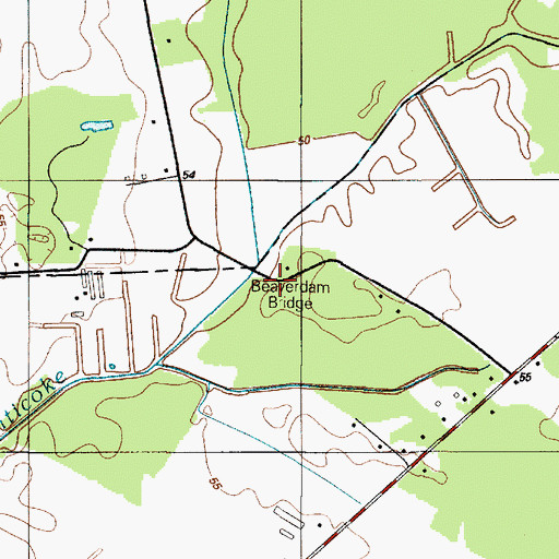 Topographic Map of Beaverdam Bridge, DE