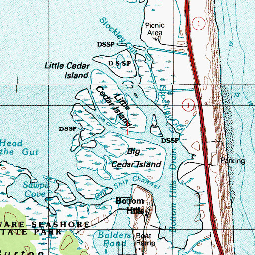 Topographic Map of Big Cedar Island, DE