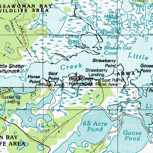 Topographic Map of Big Sheep Hammock, DE
