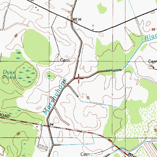 Topographic Map of Black Arm Prong, DE