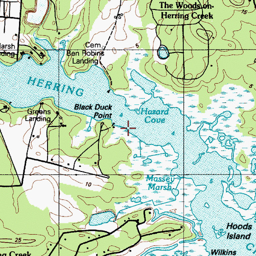 Topographic Map of Black Duck Point, DE