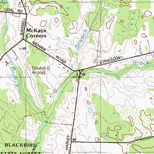 Topographic Map of Black Stallion Ditch, DE