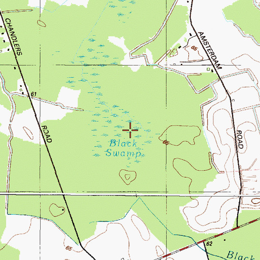 Topographic Map of Black Swamp, DE