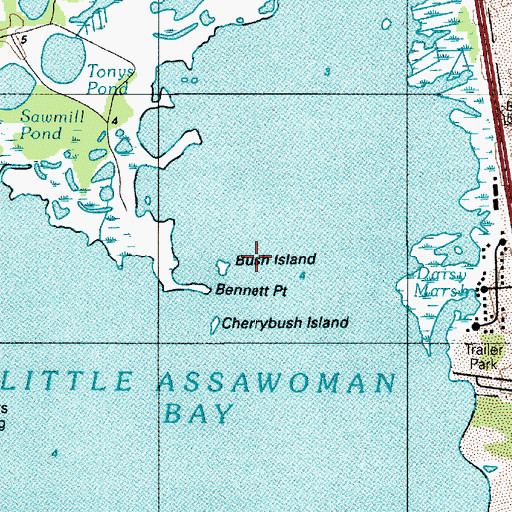 Topographic Map of Bush Island, DE
