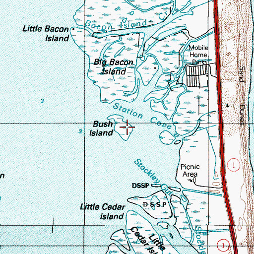 Topographic Map of Bush Island, DE