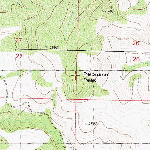 Topographic Map of Palomino Peak, AZ