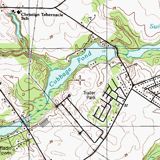 Topographic Map of Cubbage Pond, DE