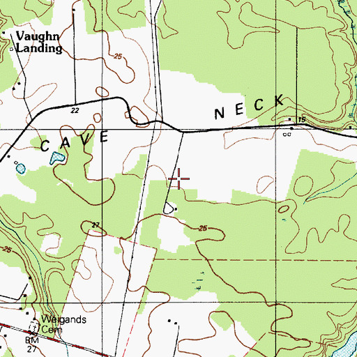Topographic Map of Cave Neck, DE