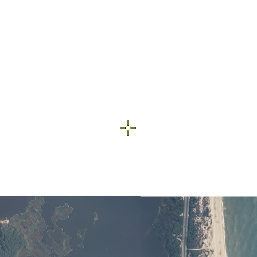 Aerial/Satellite Image of Cedar Pond, DE