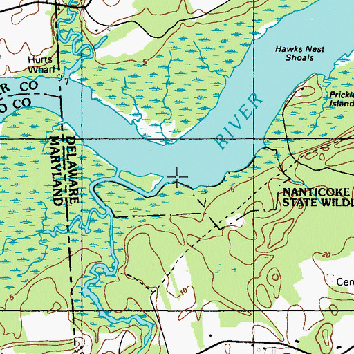 Topographic Map of Cod Creek, DE