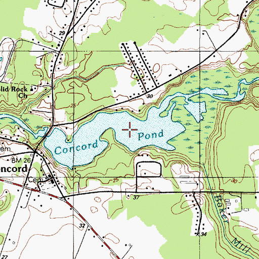 Topographic Map of Concord Pond, DE