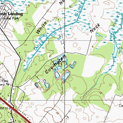 Topographic Map of Covington Neck, DE