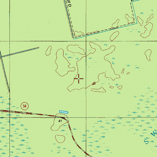 Topographic Map of Cypress Swamp, DE