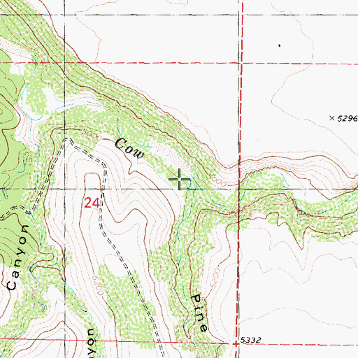Topographic Map of Pine Canyon, AZ