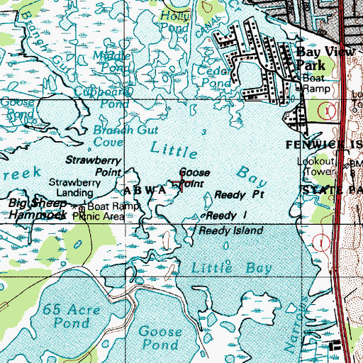 Topographic Map of Goose Point, DE