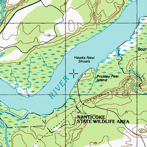 Topographic Map of Hawks Nest Shoals, DE